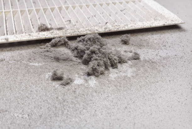 Best Emergency Air Duct Cleaning  in Carter Lake, IA