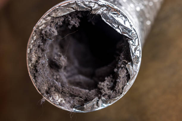 Best Residential Air Duct Cleaning  in Carter Lake, IA