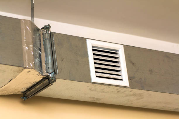Best Dryer Vent Cleaning Services  in Carter Lake, IA